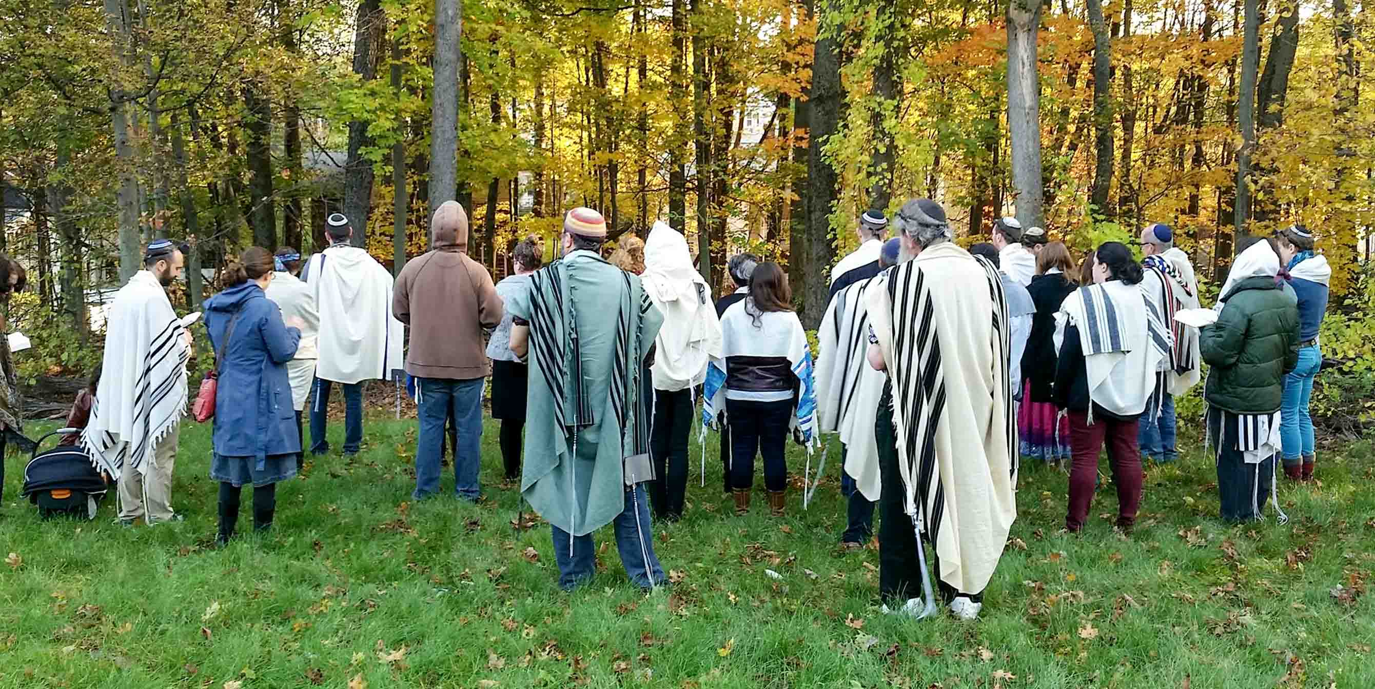 prayer in the woods