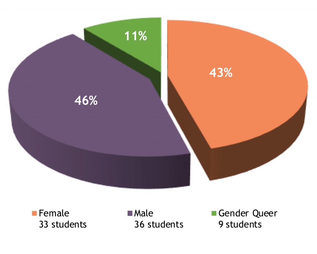 rabbinical school student gender pie chart