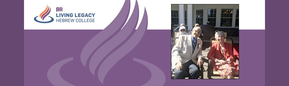 HAROLD IN HEBREW visual data 3