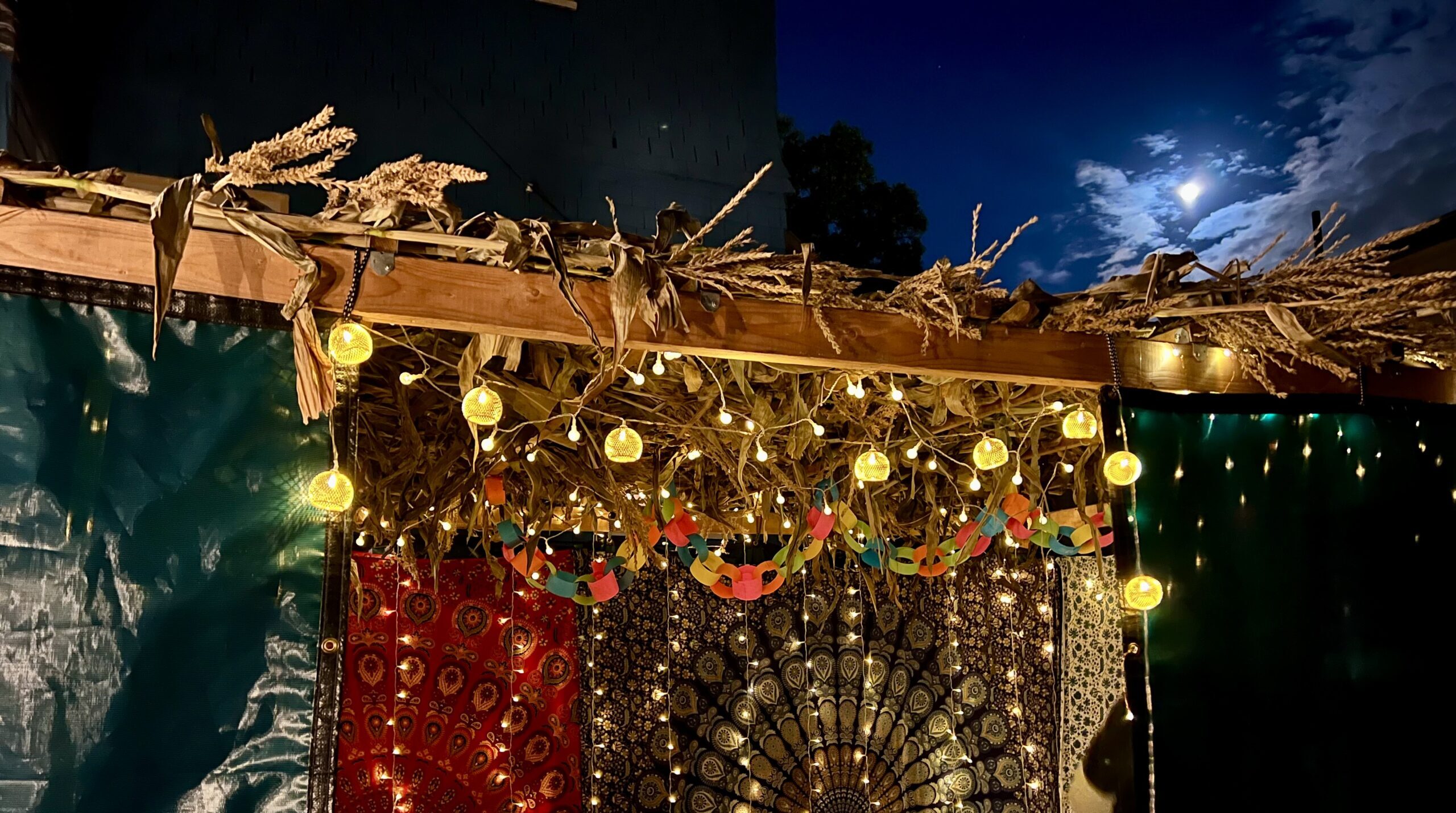 Sukkah roof
