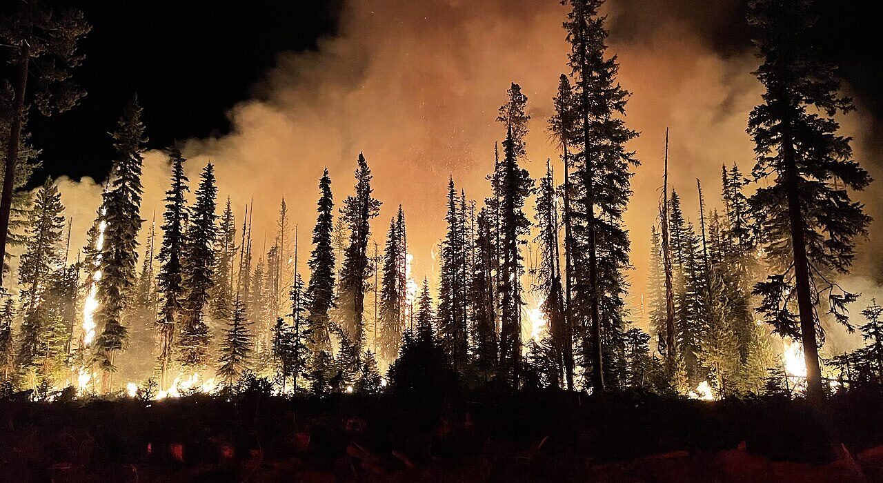 Wildfire